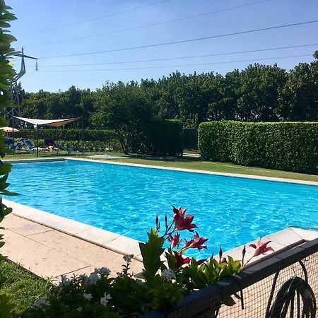 סאן מרטינו בואון אלברגו Agriturismo Corte Pellegrini מראה חיצוני תמונה