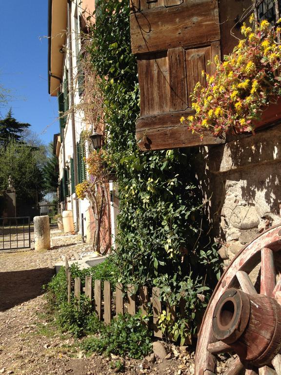 סאן מרטינו בואון אלברגו Agriturismo Corte Pellegrini מראה חיצוני תמונה