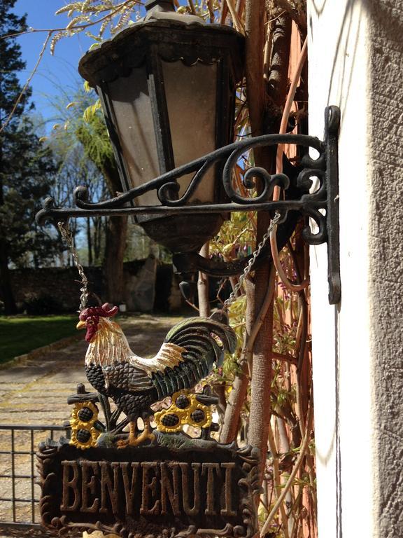 סאן מרטינו בואון אלברגו Agriturismo Corte Pellegrini מראה חיצוני תמונה